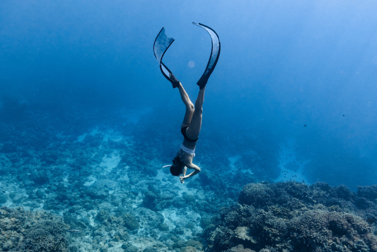 ギャラリー画像