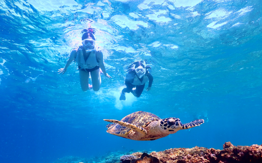 ウミガメビーチシュノーケリングツアー