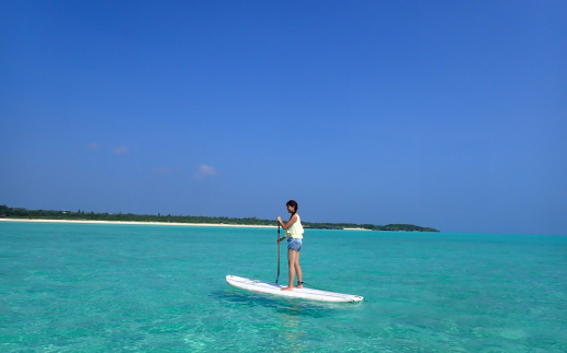 ウミガメサップ1時間ツアー